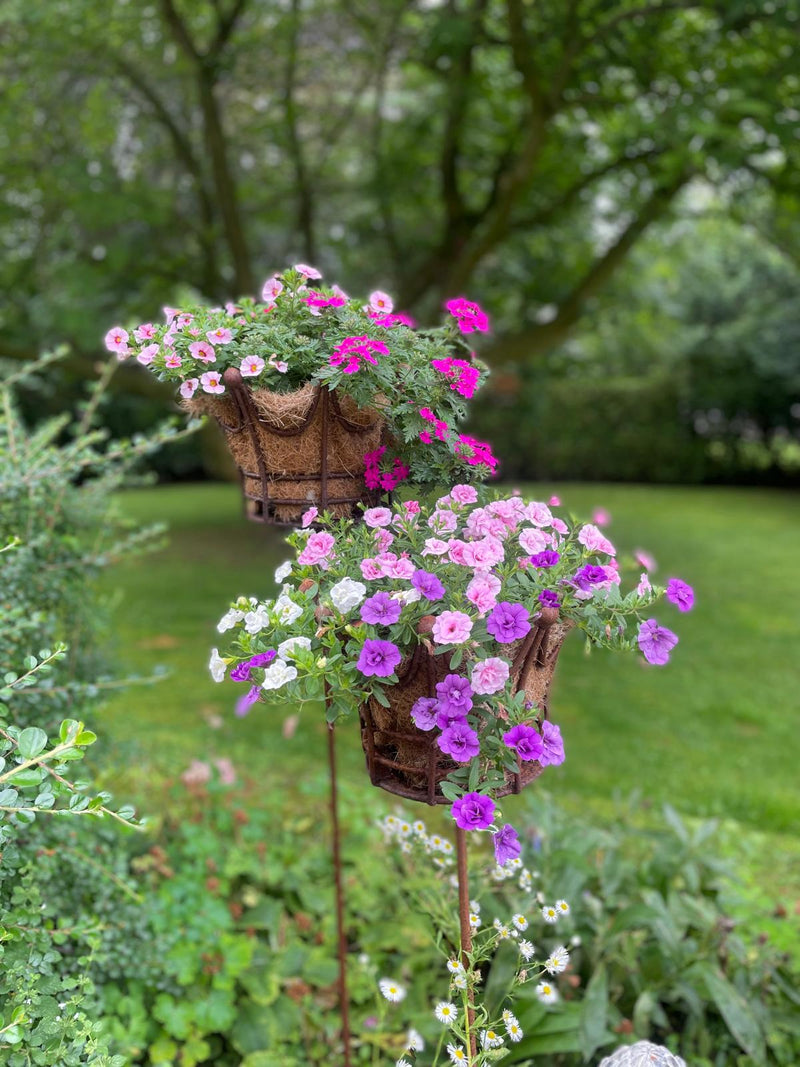 Kerzenhalter Blumenhalter "Krone" in 3 Höhen aus Metall mit Edelrost Leuchtfeuer  Gartendeko