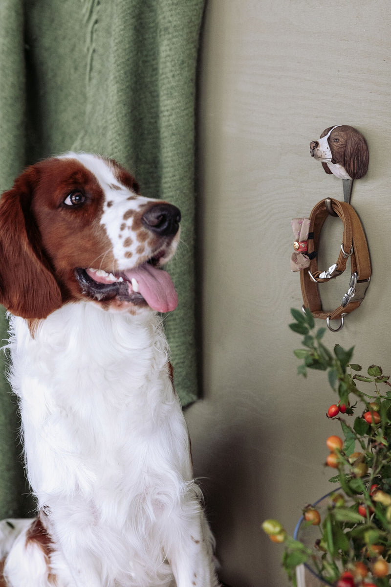 KLEIDERHAKEN SPANIEL Hund Garderobe Wandhaken massiv Landhaus Vintage handgeschnitzt und handbemalt Holz und Metall-Haken 11cm hoch